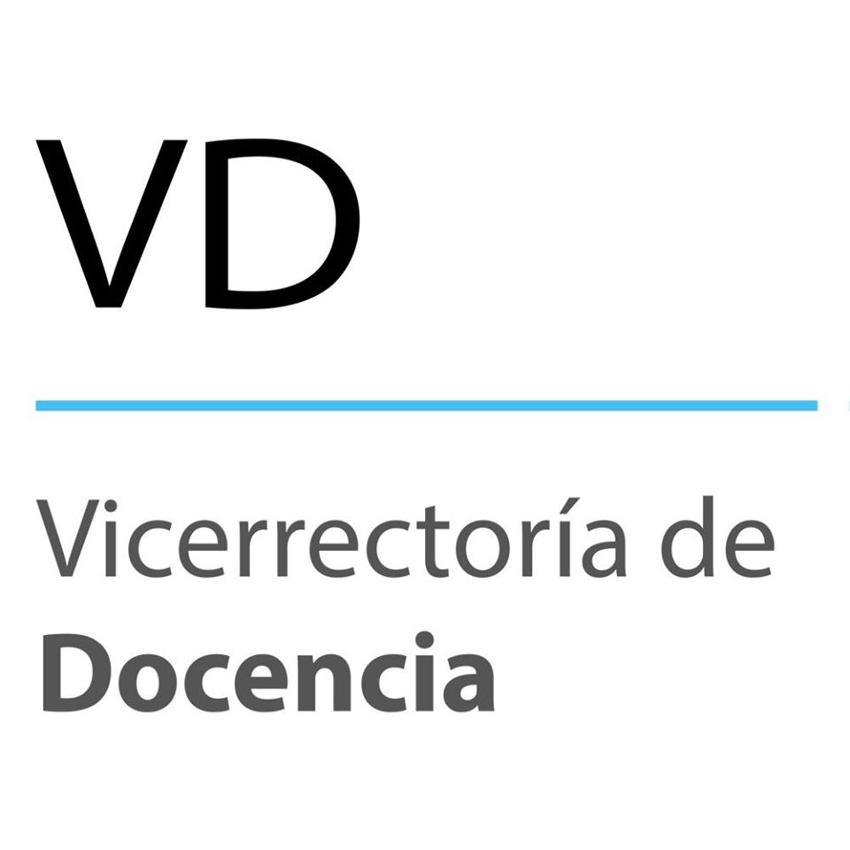 Dra. Susan Francis Salazar reconocida académica de la Facultad de Educación es la nueva Vicerrectora de Docencia
