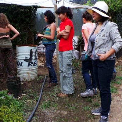 Taller De Videos Educativos 2015 10